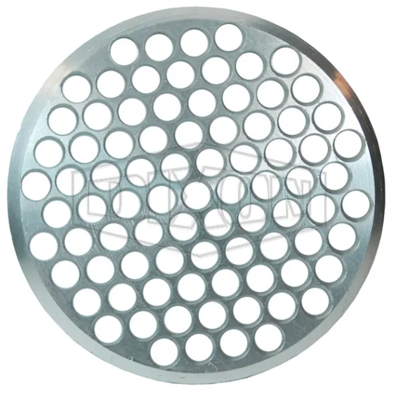 Disk Strainer | Dixon